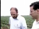 cannabis hemp dot info episode #1 cannabis hemp dot info episode #1