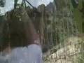 Go Ape Bedgebury