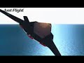 F-117A Stealth Fighter