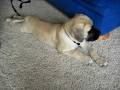 videos de Mason go sleepy