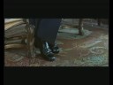 Casino Royale - Introduzione