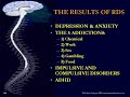 Super Brain - Part 4 of 8 Auriculotherapy
