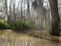 HPIM1182.AVI