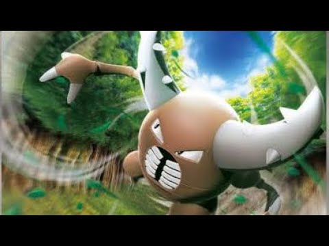 動画