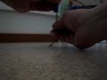 homo polar magnet motor 2