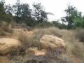 2009 Hike Griffith Park.mp4