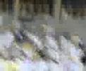 احتفال نادي النصر السعودي 3