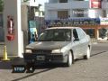Learn how to live in your car...
