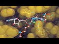 Molecular Mechanism of ATP synthesis Molecular Mechanism of ATP synthesis