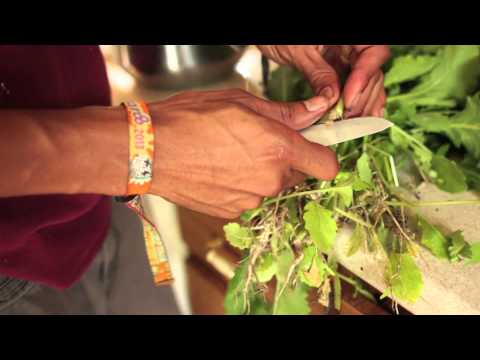 how to harvest turnip greens