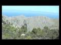 Ver Video