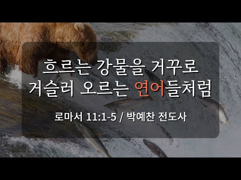 2023년 1월 21일 / 흐르는 강물을 거꾸로 거슬러 오르는 연어들처럼