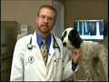 I favorited a YouTube video http://lnk.ms/PMB3x