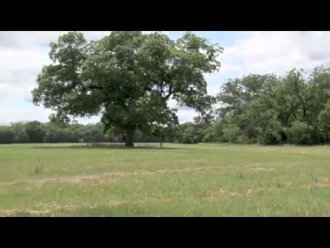 151.3 acres Gatesville, TX