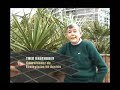 Gran Superficie Cap�tulo 7