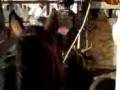 videos de El packet en el rosario