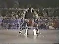 FMW-great sasuke vs atsushi onita FMW-great sasuke vs atsushi onita