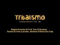 temazo del disco tribalismo compilation vol. 10