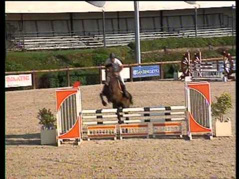 horses grand national