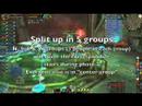 Vashj experience