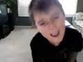 videos de So What - Pink Chipmunk Version