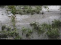 Herten Umweltskandal - Fäkalien und Ekelmüll auch nach kurzem Gewitterschauer im RRB.mp4