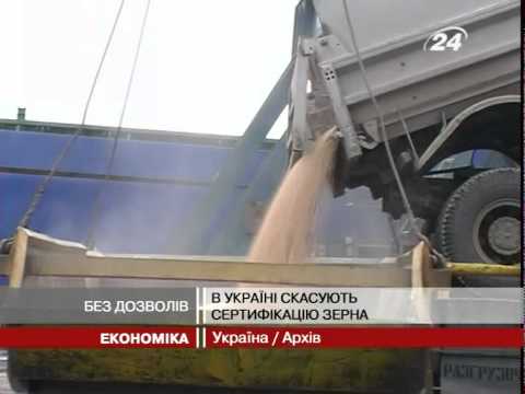 Смотреть видео