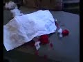 roboreptile-vs-barney-and-elmo.html