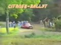 Car accident crashes into tree