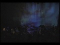 Oneida - Did I Die