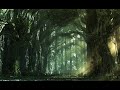 Nouvelle Vague - A Forest