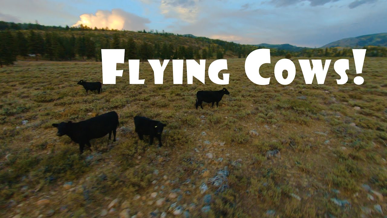 Utah Flying