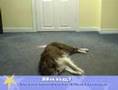 February 2008 Challenge Example (BANG)