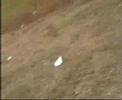 AUDI C4 S4 quattro beinahe Unfall fast Crash AUDI C4 S4 quattro beinahe Unfall fast Crash