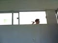Terror en la casa del ni�o