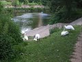 River Severn Henwick Parade & Bromwich Parade Worcester 1