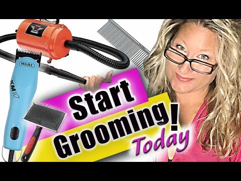 Get Started as a Pet Groomer-Tools You Need