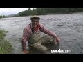 Gaula big 24 lb Atlantic salmon c/r fly fishing