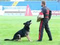 PakwerkPierre Walström met Rosso Anggsbackens PakwerkPierre Walström met Rosso Anggsbackens