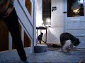 making a routine