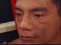 Darchinyan Knocks Out Mijares