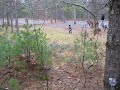 homestead 11-09.avi