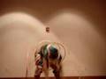 Kevin Locke - Lakota Storyteller Hoop Dancer