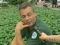 Hemp: The New Soy