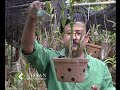 Scientific aspects in Orchid Cultivation Scientific aspects in Orchid Cultivation