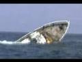 R/V Jane Yarn Sinks off Georgia Coast