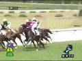 新馬動画6