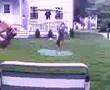 wiffle ball eephus