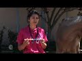 Horse Deworming Tutorial Video