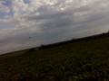videos de Falconry hunting with Peregrine